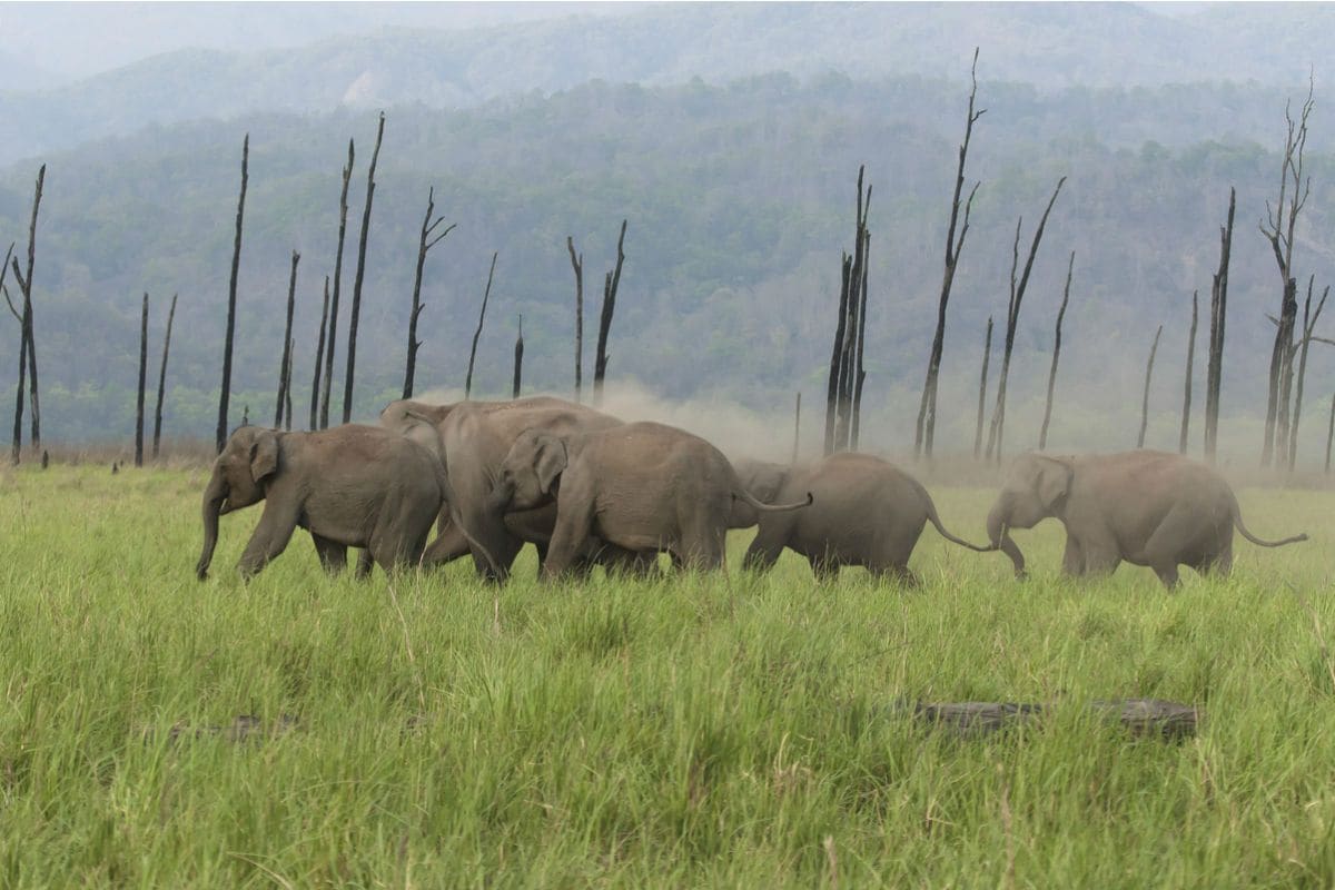 Nainital, Bhimtal, Corbett Tour Package 05N/06D from Haridwar