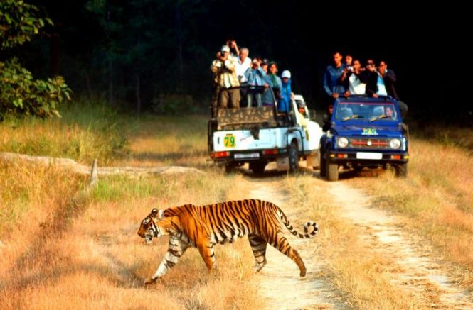 Nainital, Corbett Tour Package from Haridwar