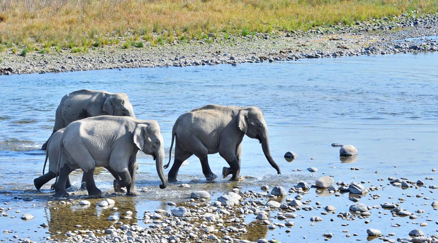 Nainital, Corbett Tour Package from Haridwar