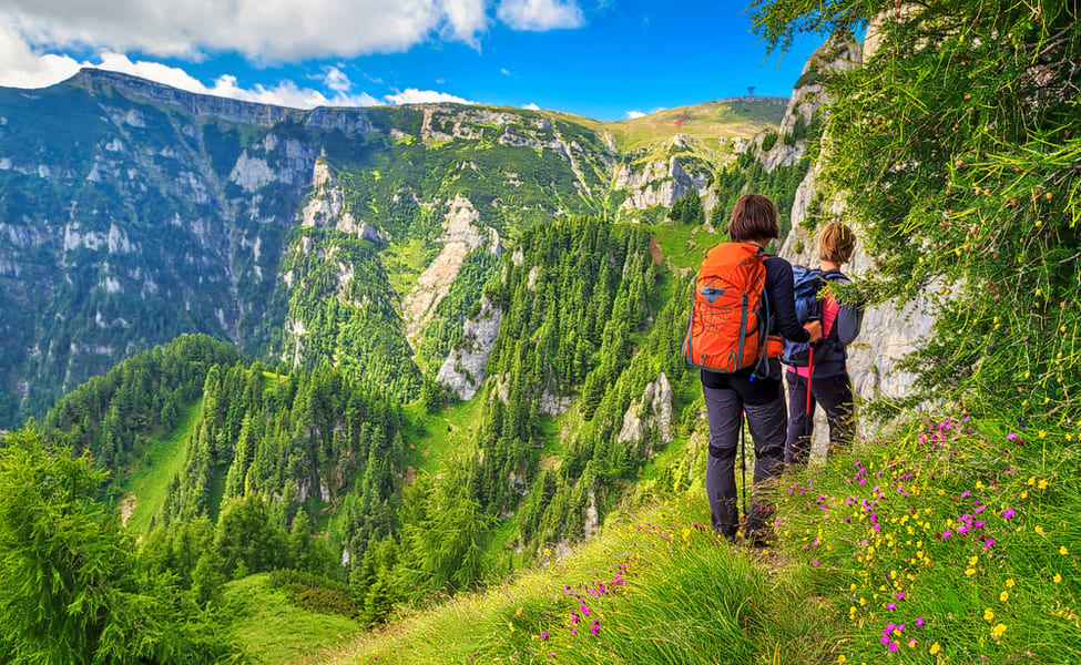 Valley Of Flowers Tour Package 2023 (5N/6D)